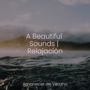 Abrazo de Armonía Ascenso Pacífico