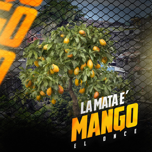 La Mata E' Mango