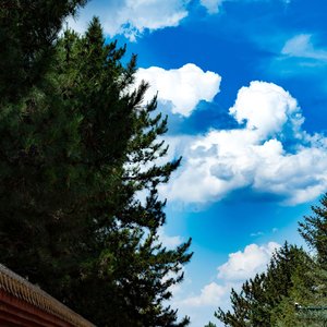 这座城市终于飘雪