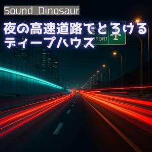 夜間飛行とナビの声