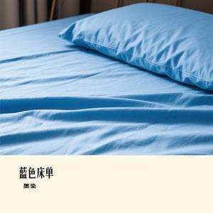 蓝色床单 (Cover 张叶蕾)