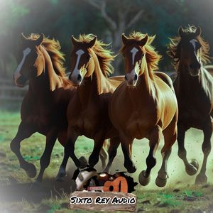 El Pollo de San Ramón - Cantor de Música Recia