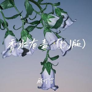 香水有毒 (DJ慢摇版)