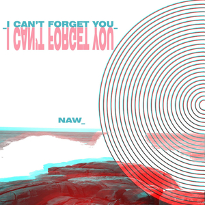 I Can't Forget You