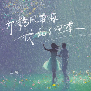 你携风带雨我乱了四季 (DJ九零版)
