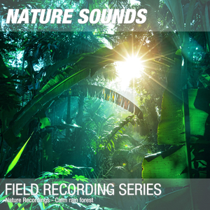 Nature Sounds for Sleep, Relaxation & Meditation (Calm rain forest ambience) 07