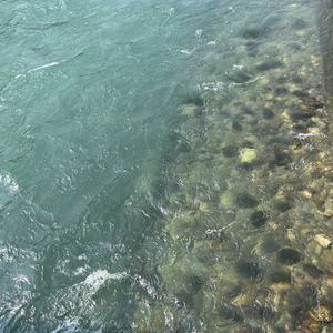 剪辑20260301_1511.wav