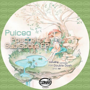 Pasarele Sub Soare (Original Mix)