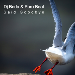 Said Goodbye (Cut Mix)