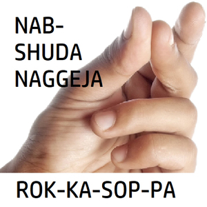 Nab-shuda naggeja
