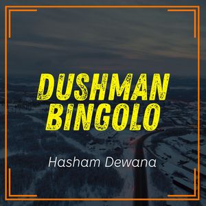 Dushmana Naa