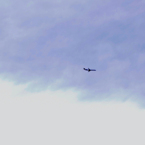 可可猫茧-Moonquake（可可猫茧 remix）