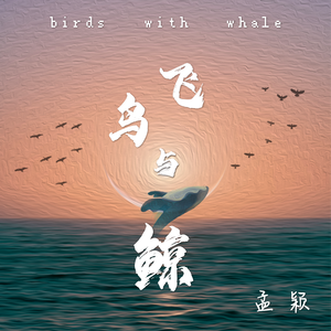 飞鸟与鲸