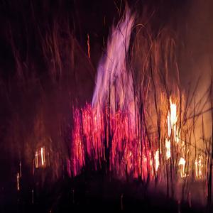 冬の花(钢琴曲完整)—DF