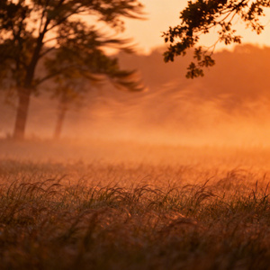 我满脸沧桑怕惊了高堂