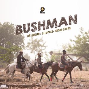 Bushman