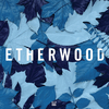 Etherwood - Souvenirs