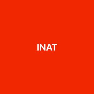 Inat