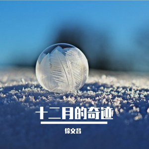 十二月的奇迹