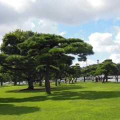 文明旅游志愿者之歌