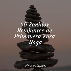 Reinando En Concentración