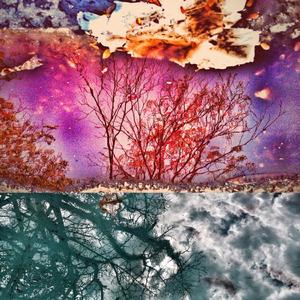 Small World Line Excited State - Pt 1