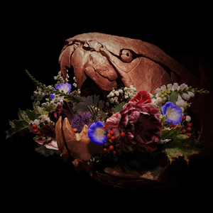 Dunkleosteus