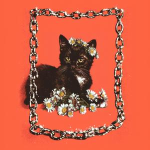 Tom & Jerry (feat. Maxmex)