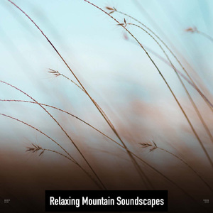 Birds Chirping And Water Sounds