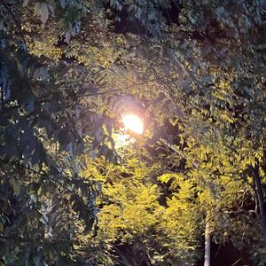 2021没有秋天 前男友（翻唱：十七万）