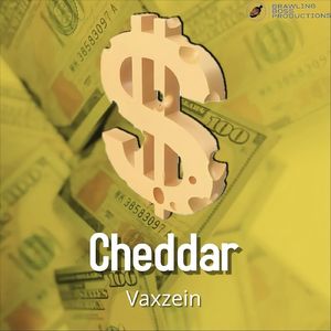 Cheddar
