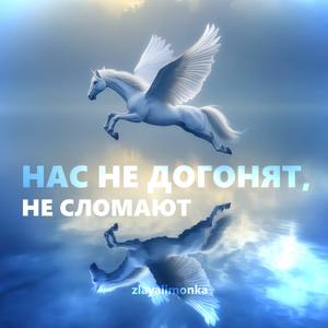 Нас не догонят, не сломают