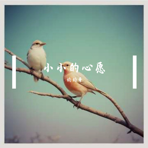 小小的心愿