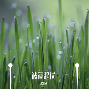 波澜起伏