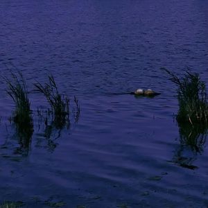 悬溺 X 空心 - 葛东琪&光泽