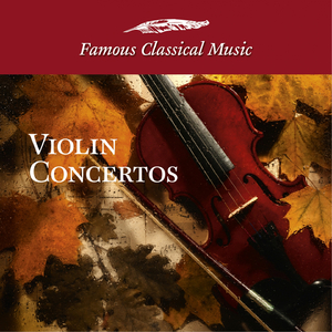 Violin Concerto No. 3 in B Minor: Allegro non troppo