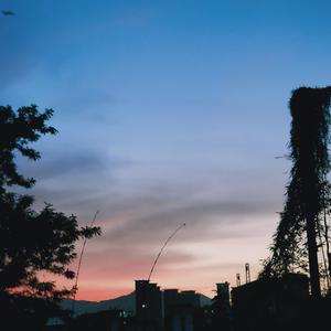 WAVE（prod by花欲燃）