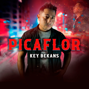 Picaflor