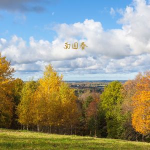 微风起 (温暖版)