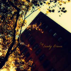 Solitude For Ms. Brown