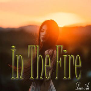 When The Night Arrives