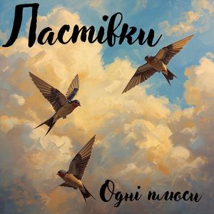 Ластівки