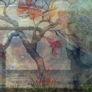 พอแล้วกับการหวัง (VIP)