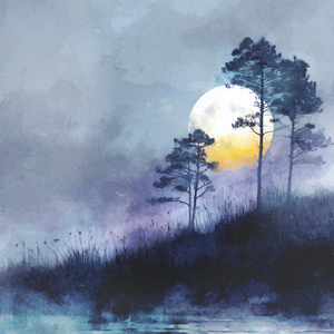 月光の雲海（ピアノ）『天空の城ラピュタ』より