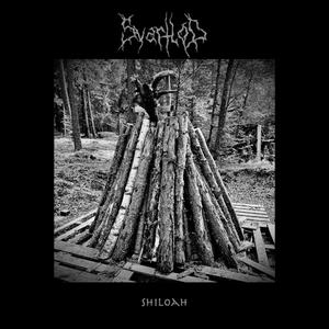Shiloah (Single)