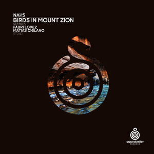 Birds in Mount Zion (Fabri Lopez Remix)