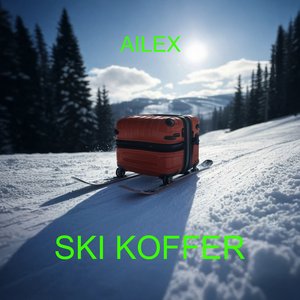 Ski Koffer