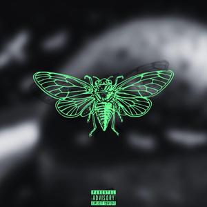 INsession (Freestyle)