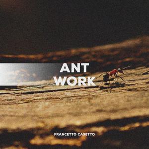 Ant Work
