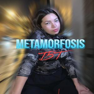METAMORFØSIS TBT